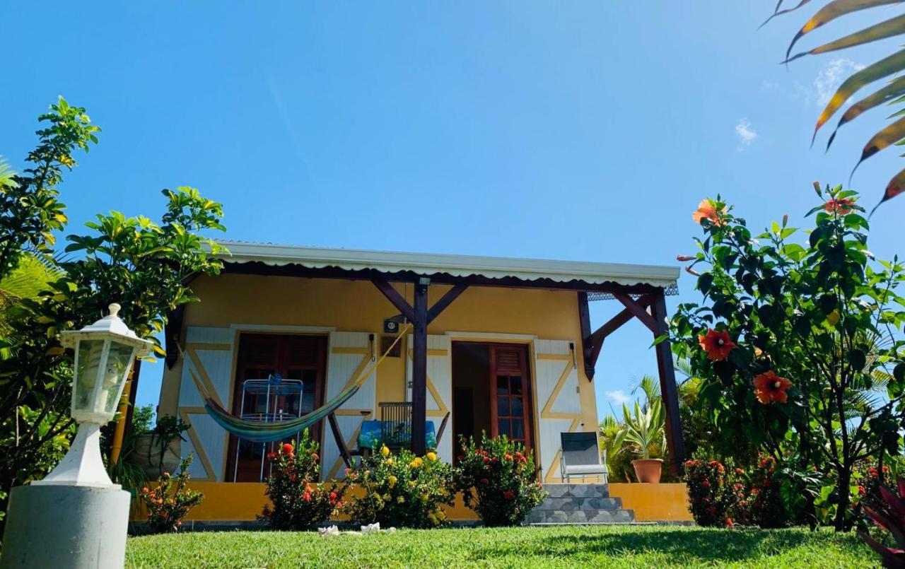 Willa Les Palmes Du Moulin Saint-Louis Zewnętrze zdjęcie